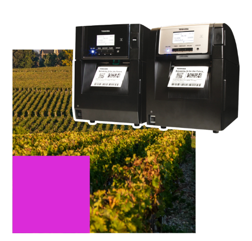 Imprimante toshiba Barcodis